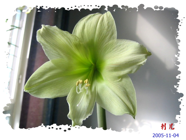 ˯�ѵ�����P6���£�