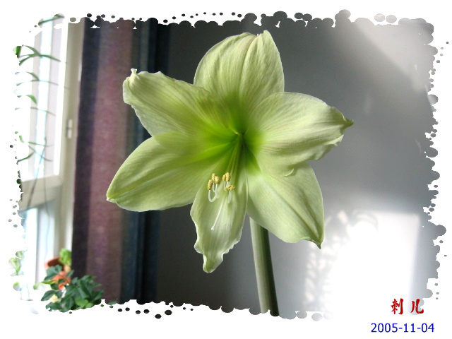 ˯�ѵ�����P6���£�