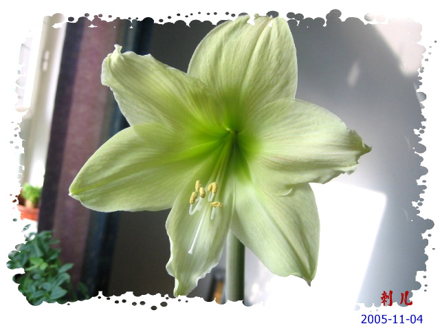 ˯�ѵ�����P6���£�