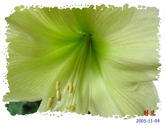 ˯�ѵ�����P6���£�