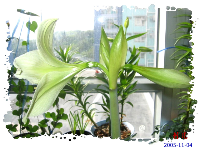 ˯�ѵ�����P6���£�