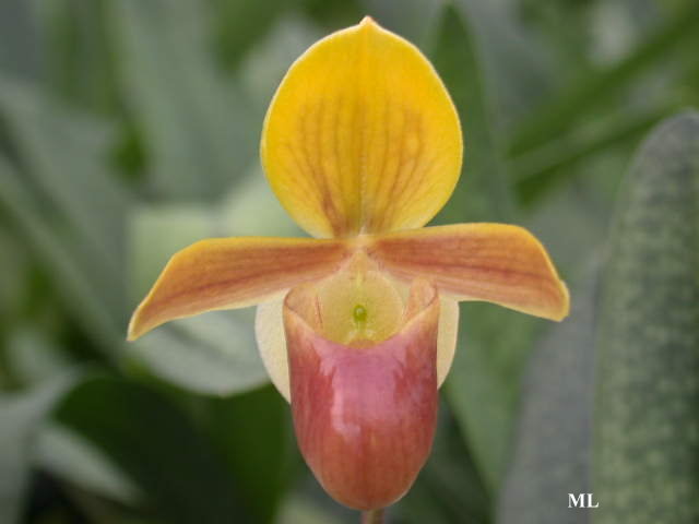 �Ɍ���Ь�m