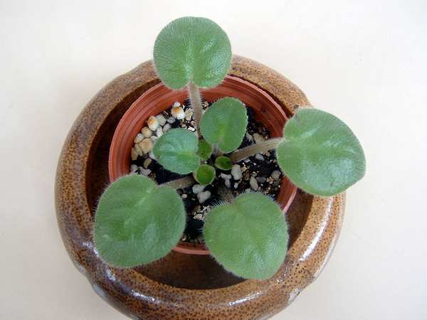 żҲ��������---���ҵ�����������ļ����գ�