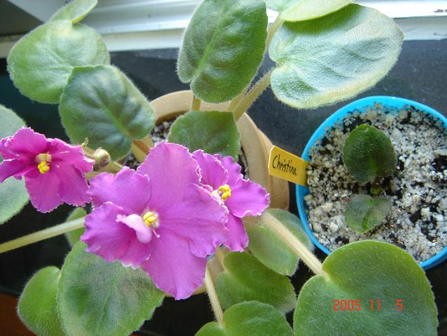 [��ˮ]��������ˮ��