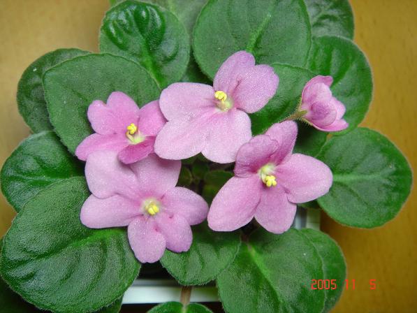 [��ˮ]��������ˮ��