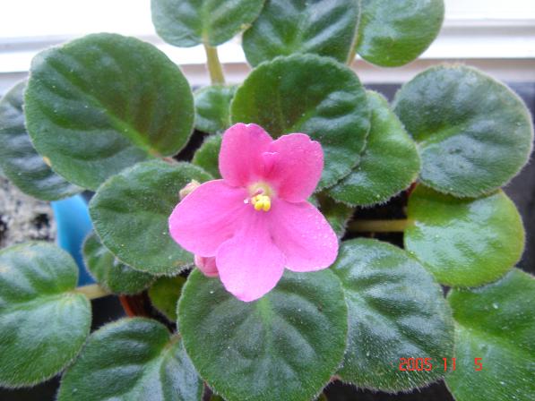 [��ˮ]��������ˮ��