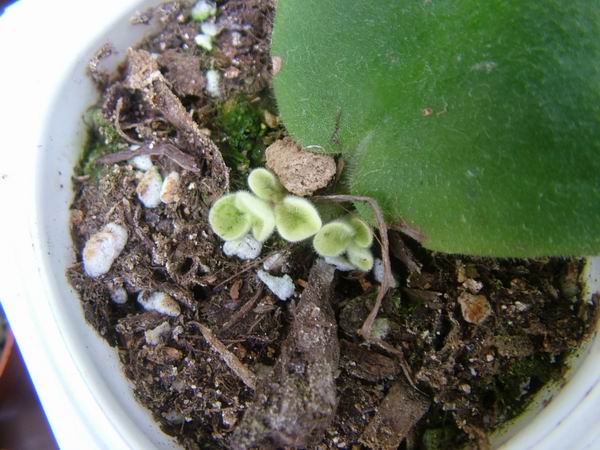 żҲ��������---���ҵ�����������ļ����գ�