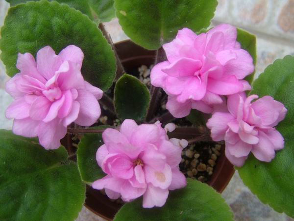 żҲ��������---���ҵ�����������ļ����գ�