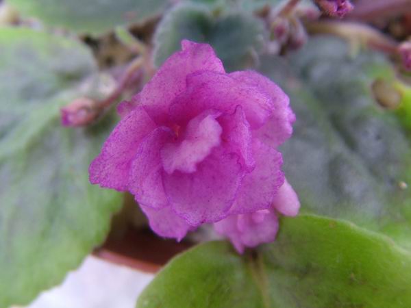 żҲ��������---���ҵ�����������ļ����գ�