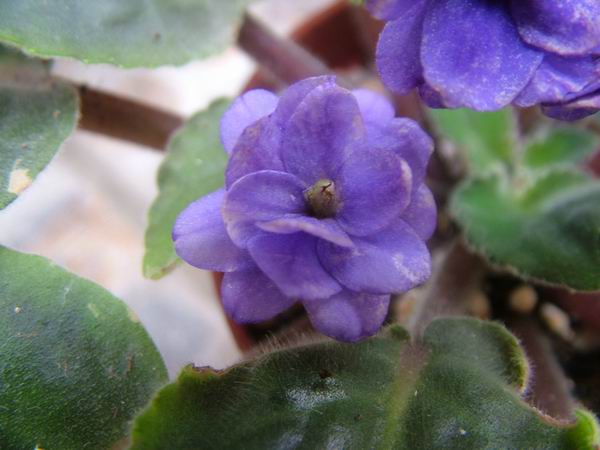 żҲ��������---���ҵ�����������ļ����գ�