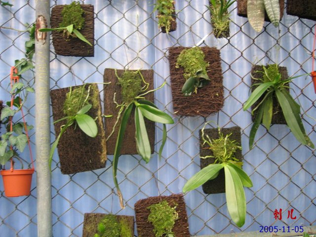 ��������������μ�