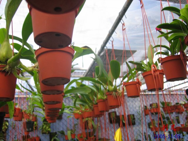 ��������������μ�