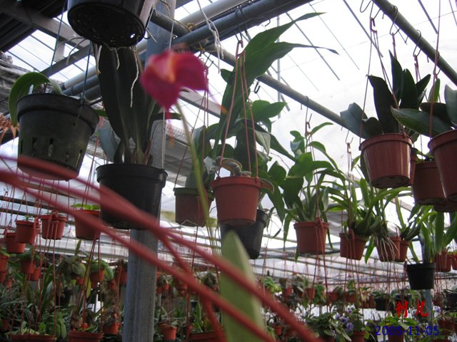 ��������������μ�