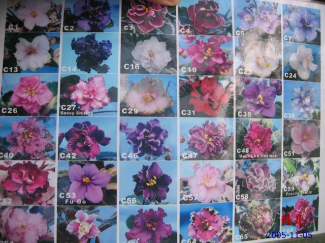 ��������������μ�