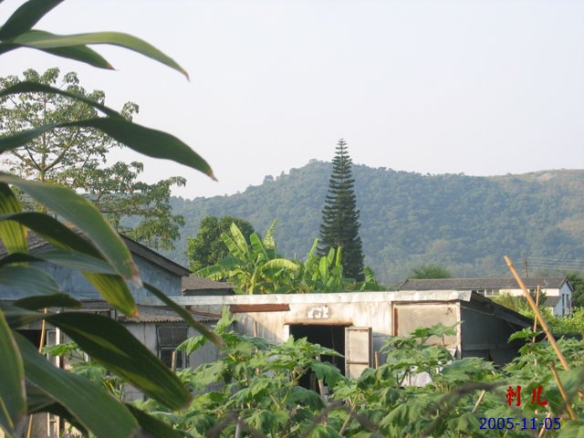 ��������������μ�