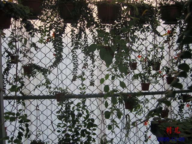 ��������������μ�