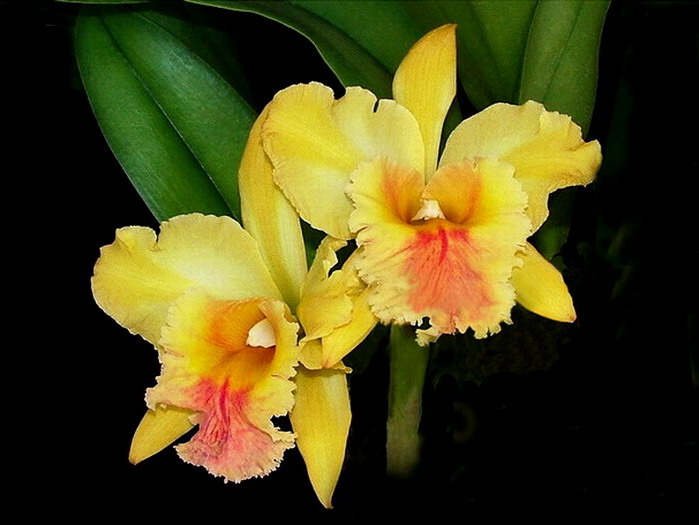 �����Ŀ�����--------��ѡͼƬ   �� No.22 ����!