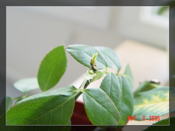 Ǥ����¼�����ɹ���!��PP