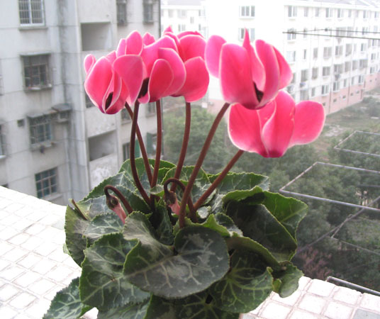 11.05���м��������ǣ�P3��4��pp��
