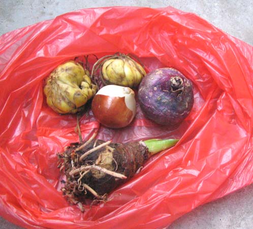 11.05���м��������ǣ�P3��4��pp��