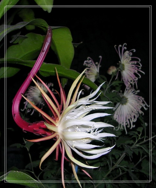 꼻������ٴο���