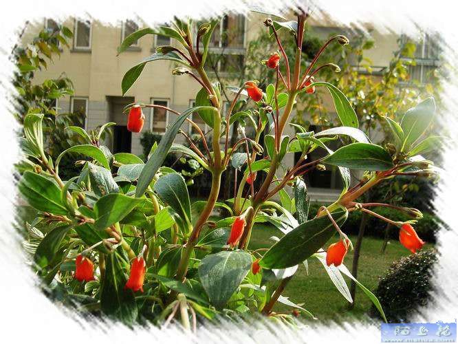 ������˵������Сë¿����