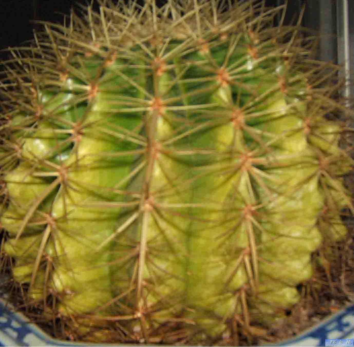 �ҵ���������ô��?