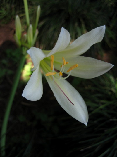 ���ݵĻ����õ�ʲôӪ����