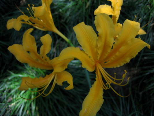 ���ݵĻ����õ�ʲôӪ����