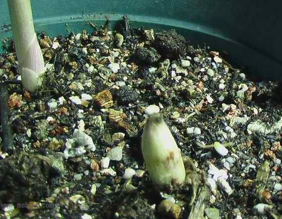 �Ź�������ȫ������