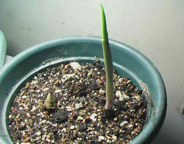 �Ź�������ȫ������