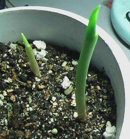 �Ź�������ȫ������