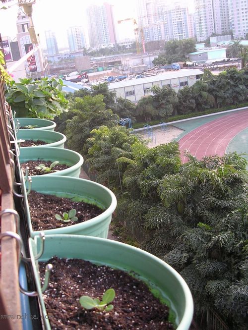 ��hoho���������ﲥ������P7������ƴ�ţ�����ˣ���