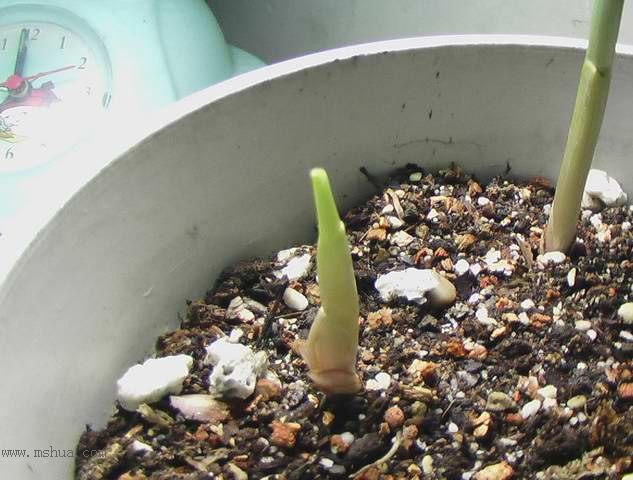 �Ź�������ȫ������