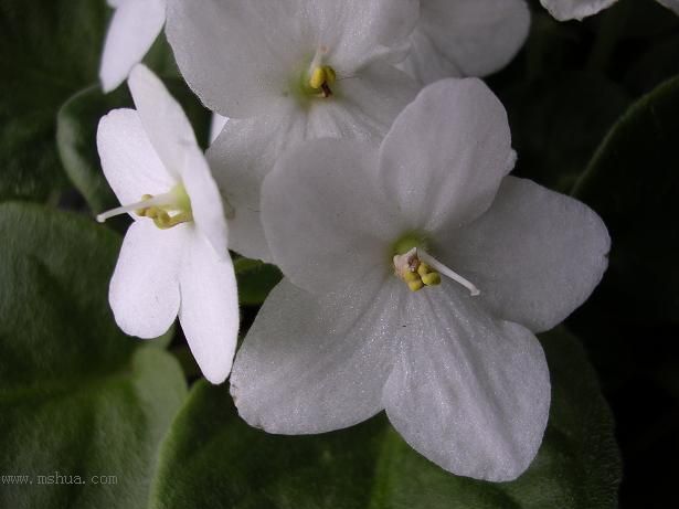 [��ˮ]��������ˮ��