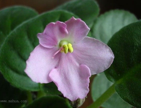 [��ˮ]��������ˮ��