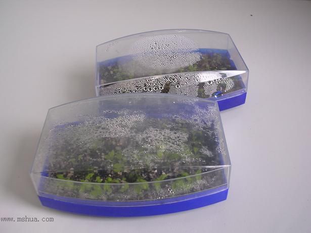 [����]����̦��������