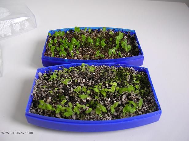 [����]����̦��������