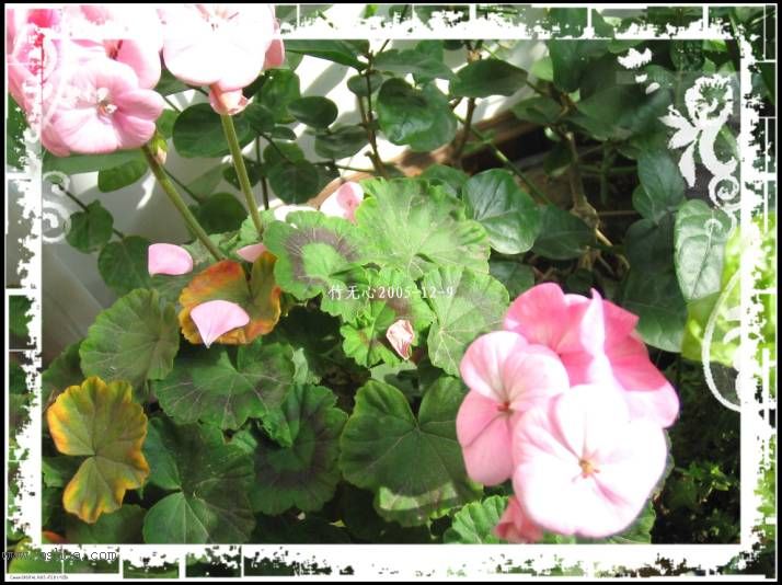 ���ȡ�ǣţ��~