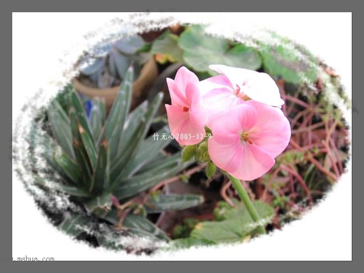 ���ȡ�ǣţ��~