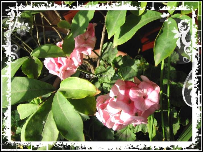 ���ȡ�ǣţ��~~12�¸�����졣��