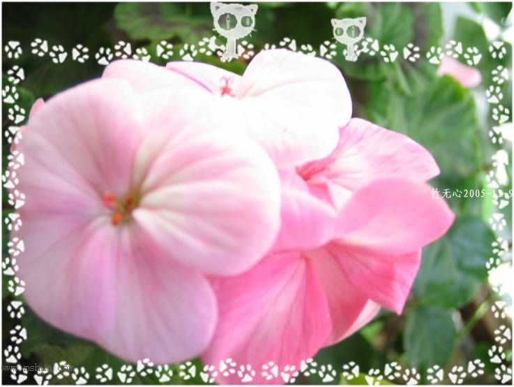 ���ȡ�ǣţ��~~12�¸�����졣��