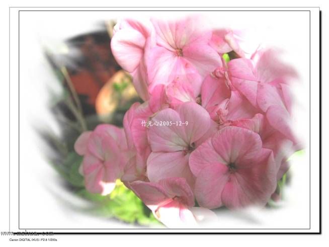 ���ȡ�ǣţ��~~12�¸�����졣��