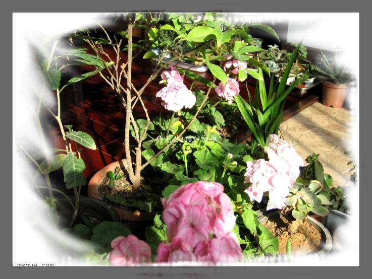 ���ȡ�ǣţ��~~12�¸�����졣��