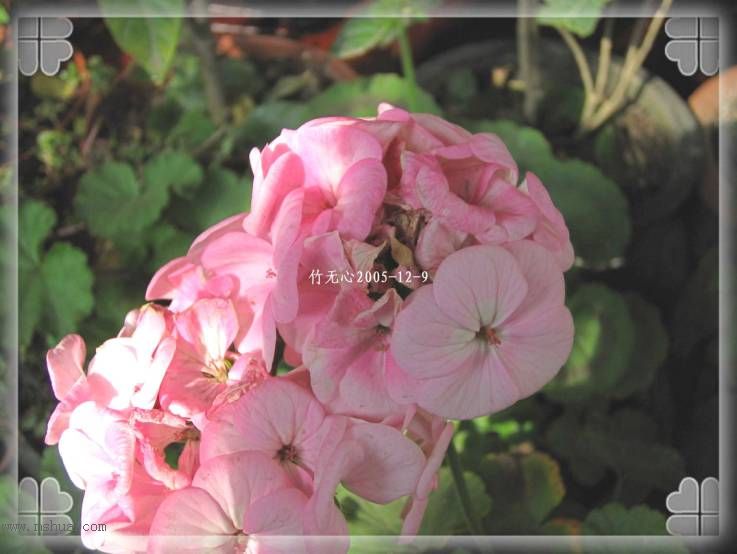 ���ȡ�ǣţ��~~12�¸�����졣��