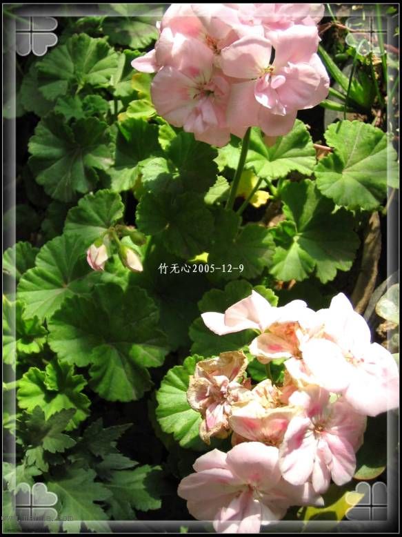 ���ȡ�ǣţ��~~12�¸�����졣��