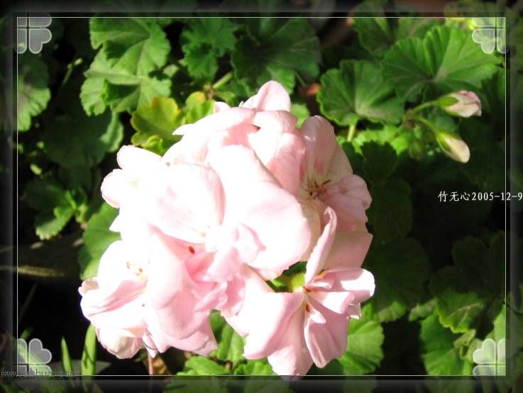 ���ȡ�ǣţ��~~12�¸�����졣��