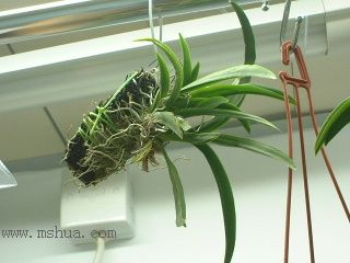 ��һ���ջ�