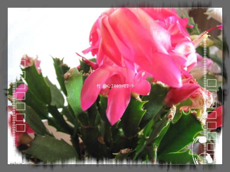 ������зצ����