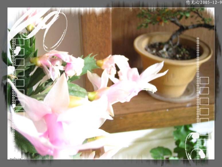 ������зצ����